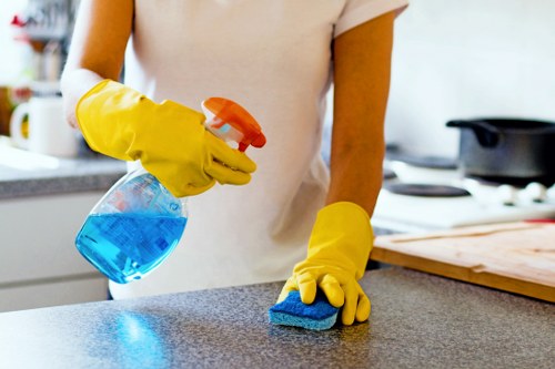 Accessibility statement introduction for Beckton Carpet Cleaners