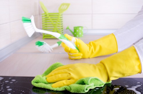 Technician carrying out sofa cleaning in Beckton using specialist equipment