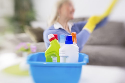 Beckton Carpet Cleaners service introduction and professional carpet care