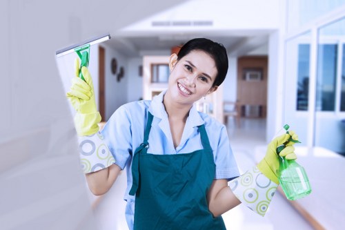 Eco-friendly rug cleaning and stain removal in Beckton