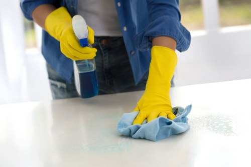 Technician treating a stained carpet in Beckton property